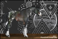 Horse Color:Brown Sabino 