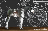 Horse Color:Brown Sabino 