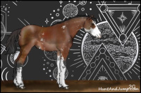 Horse Color:Brown Sabino