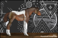 Horse Color:Liver Chestnut Sabino Tobiano