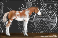 Horse Color:Silver Bay Sabino Rabicano 