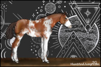 Horse Color:Bay Sabino Rabicano