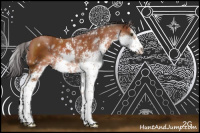 Horse Color:Bay Sabino 