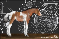 Horse Color:Bay Sabino Tobiano Rabicano 