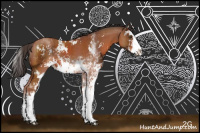 Horse Color:Bay Sabino Rabicano