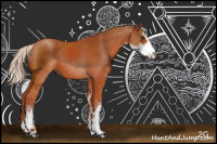 Horse Color:Silver Bay Sabino Rabicano 
