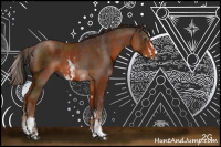 Horse Color:Gray Bay Sabino Rabicano  and Liver Chestnut Sabino Rabicano 