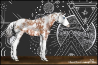 Horse Color:Bay Sabino Splash 