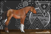 Horse Color:Bay Sabino Tobiano 