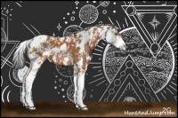 Horse Color:Bay Sabino  and Bay Sabino 