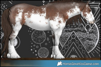 Horse Color:White Spotted Liver Chestnut Sabino Rabicano