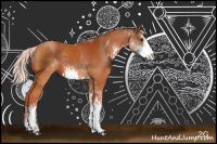 Horse Color:Silver Bay Sabino Rabicano 