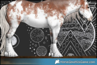 Horse Color:White Spotted Silver Bay Sabino Appaloosa Rabicano 