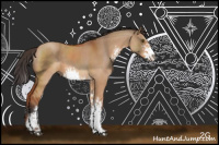 Horse Color:Bay Dun Sabino 