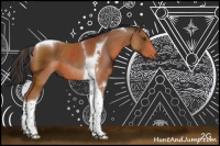 Horse Color:Bay Sabino Tobiano
