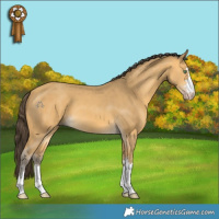 Horse Color:Sable Cream Champagne 