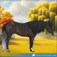 Horse Color:Brown Sabino