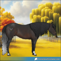 Horse Color:Brown Sabino 