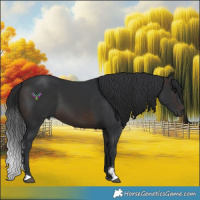 Horse Color:Brown Sabino