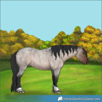 Horse Color:Brown Roan Dun Tobiano Rabicano