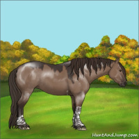 Horse Color:Liver Red Dun Tobiano Rabicano