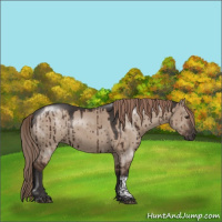 Horse Color:Liver Red Dun Tobiano Rabicano Brindle