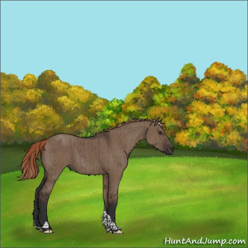 Horse Color:Liver Red Dun Tobiano Rabicano Brindle 