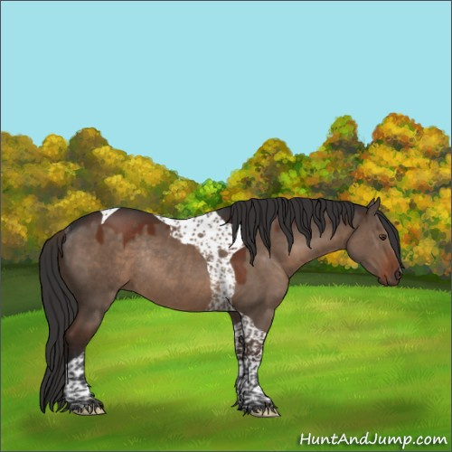 Horse Color:Liver Red Dun Tobiano Rabicano 