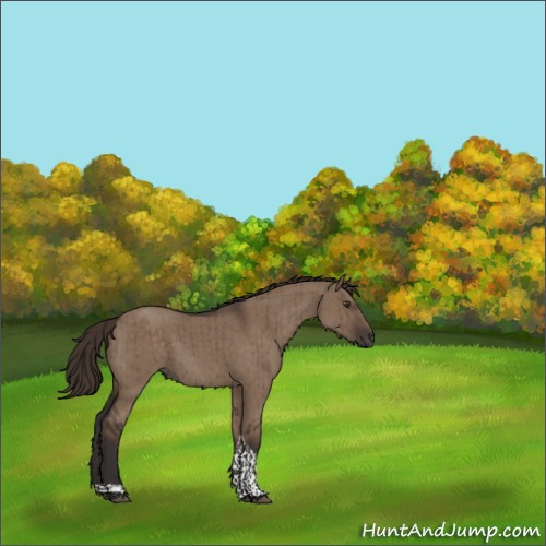 Horse Color:Liver Red Dun Tobiano Brindle 