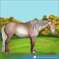 Horse Color:Gray Silver Sable Champagne