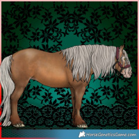 Horse Color:Gray Silver Sable Champagne