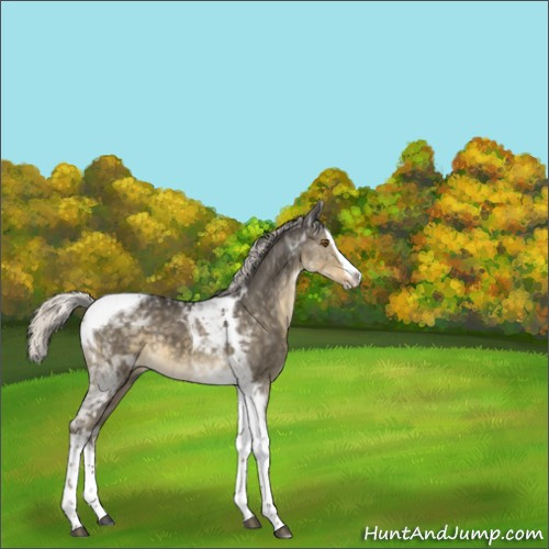 Horse Color:Silver Smoky Grullo Splash Tobiano 