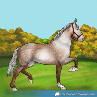 Horse Color:Gray Silver Sable Champagne 