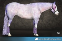 Horse Color:Watercolor White Spotted Chocolate Palomino Ice Roan