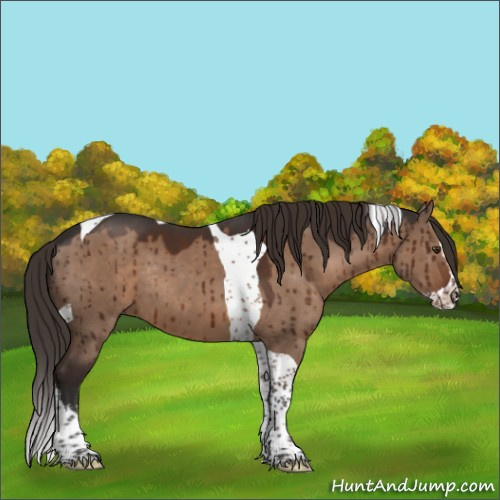 Horse Color:Liver Red Dun Splash Tobiano Rabicano Brindle 