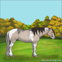 Horse Color:Liver Red Dun Roan Splash Tobiano 
