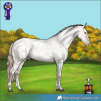 Horse Color:Liver Red Dun Roan Pearl Sabino Appaloosa Rabicano 