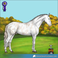 Horse Color:Liver Red Dun Roan Pearl Sabino Appaloosa Rabicano 