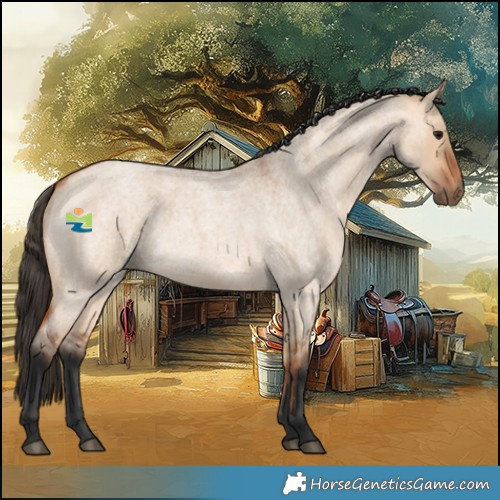 Horse Color:Bay Roan Dun 