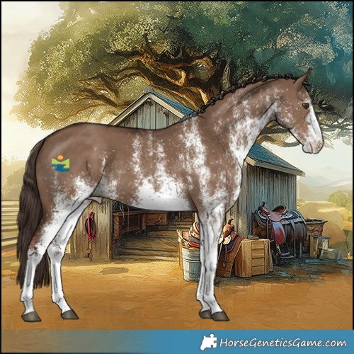 Horse Color:White Spotted Liver Red Dun Rabicano 