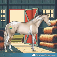 Horse Color:Chocolate Palomino Pearl Dun Tobiano Rabicano 