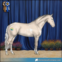 Horse Color:White Spotted Silver Perlino Dun Sabino Rabicano 