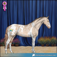 Horse Color:Red Dun Tobiano Blanket Rabicano 