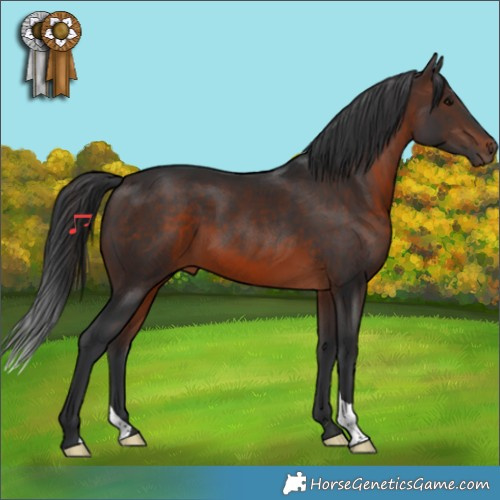 Horse Color:Brown 