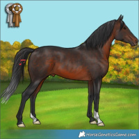 Horse Color:Brown 
