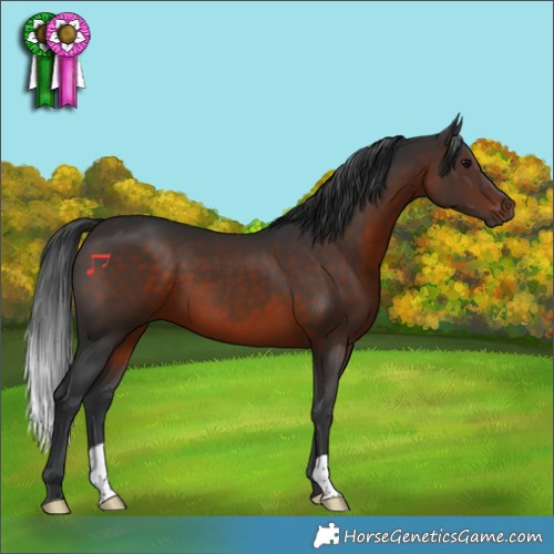 Horse Color:Brown 