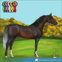 Horse Color:Brown 