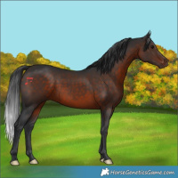 Horse Color:Brown 