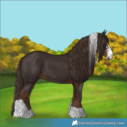 Horse Color:Liver Chestnut Sabino Tobiano 