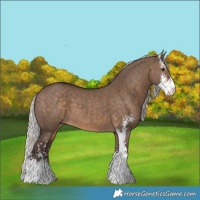 Horse Color:Silver Brown Dun Sabino 